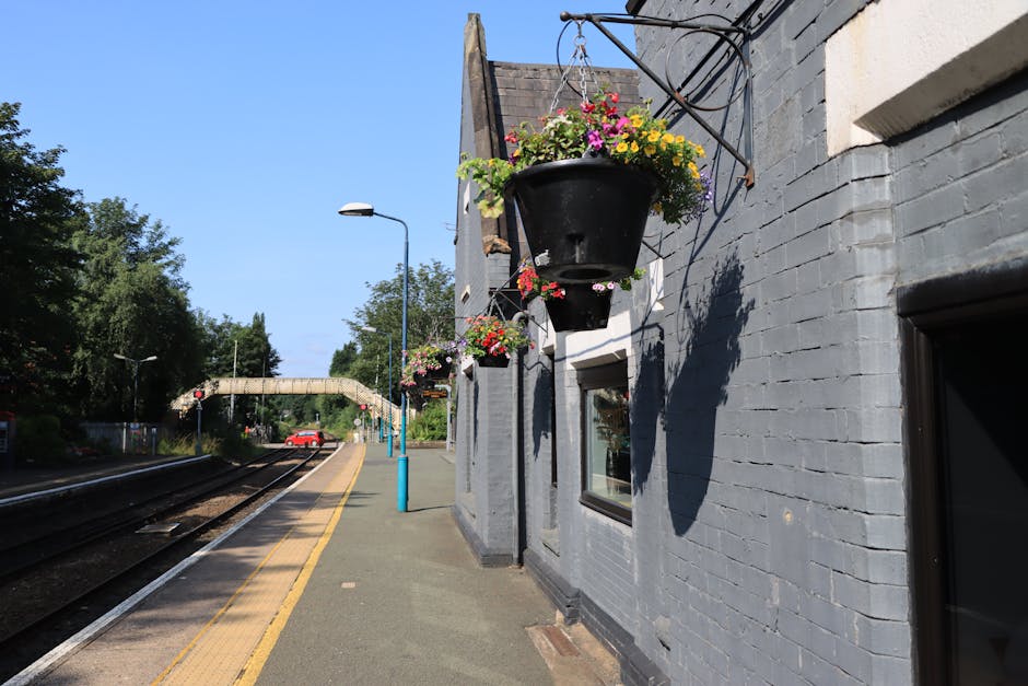 A view of Belvedere Station platform featuring a row of black hanging flower baskets filled with vibrant pink, yellow, and purple blooms, mounted on the grey brick exterior wall of a building. The bas