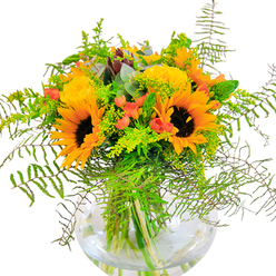 The first glance at this lavish bouquet evokes the radiant energy of a Belvedere summer, when golden sunlight dances through lush tree canopies in local parks. Sunflowers take pride of place, each bloom a radiant medallion with a dark brown center and sun-drenched yellow and orange petals, calling to mind fields at their midsummer peak near Nuxley Road. Between these jubilant spheres, plush yellow roses spiral open, their smooth, velvety petals weaving warmth and softness into the design. Red hypericum berries, like glimmering droplets of laughter, punctuate the palette and introduce playful contrast, much like the vibrant character of Belvedere's bustling neighborhoods. Volumes of fresh foliage-cascading fern fronds, wispy light-green filler blossoms, and slender, upright greens-add gentle movement and a textured backdrop that mimics the natural, unhurried greenery found around South Mere Lake. Subtle notes of eucalyptus with their cool, bluish-green hue add a delicate, uplifting accent. Every stem is expertly placed within a clear, round glass fishbowl vase, where the intricate nest of green stems and shimmering water complements the arrangement's joyful essence. Ideal for marking joyous milestones or enlivening a quiet room, this bouquet is hand-tied by local experts and brings a bit of Belvedere's natural cheerfulness to birthdays, thank-yous, or moments of celebration.